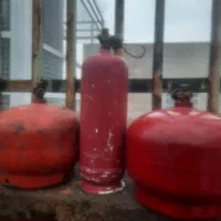 پیک نیک  سالم  فقط.   دا نه ای. ۱  میلیون