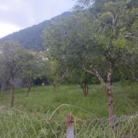 فروش زمین کبوترآبکش چابکسر