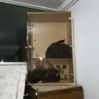 3عدد ویترین به فروش می رسد.|بوفه، ویترین، کنسول|بوکان, |دیوار