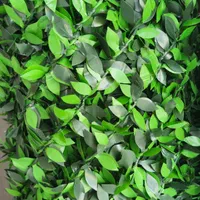 پخش و فروش چمن مصنوعی و فنس چمنی و برگی و گرینوال|خدمات باغبانی و درختکاری|کرج, شهرک نهال و بذر|دیوار