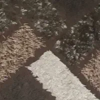 قالیچه کرم قهوه ای|فرش|رشت, شهرک پارس خزر|دیوار