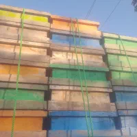 فروش طبق زنبور امریکایی|حیوانات مزرعه|کوراییم, |دیوار