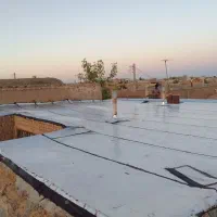 ایزوگام زنگوئی