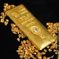 نیاز به سرمایه گذار