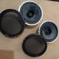 بلندگو داخل درب پژو