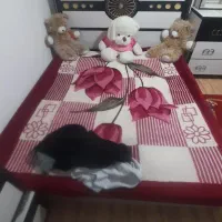 تخت خواب و میز آرایش|تخت و سرویس خواب|ماکو, |دیوار