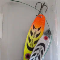 لنسر ماهیگیری|ماهیگیری|بندر انزلی, مسکن مهر|دیوار