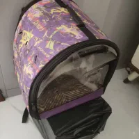 کوله یا باکس گربه کوچولو