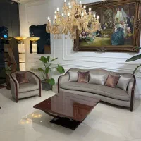 نیروی ساده و حرفه ای