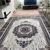 1 عدد فرش 12 متری دیانا