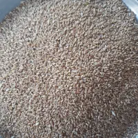 گندم فروش