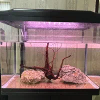 آکواریوم دلسا k580 به همراه پایه