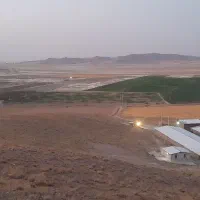 مشارکت در جوجه ریزی مرغداری ۳۰ هزار تایی