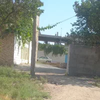زمین باغی