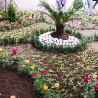 خدمات باغبانی و باغچه کار و تعویض گلدان|خدمات باغبانی و درختکاری|تهران, اختیاریه|دیوار