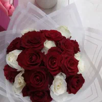 رز۱۱|گل و گیاه طبیعی|تبریز, |دیوار