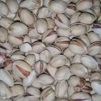 پسته فندوقی امسال|خوردنی و آشامیدنی|قم, شهرک امام حسین|دیوار