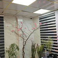 پنل سقفی مهتابی /آفتابی و مهتابی|لامپ و چراغ|پرند, فاز ۲|دیوار