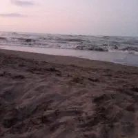 راننده خانم و آقافقط مجرد کاردر اسنپ باسوییت شمال