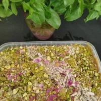 انواع محصولات خانگی بابهترین کیفیت|خوردنی و آشامیدنی|قم, انسجام|دیوار