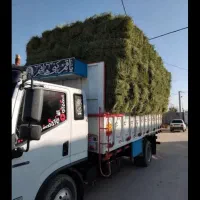 فروش عمده کاه لوبیا،کاه گندم خرمن کوب، یونجه|حیوانات مزرعه|شیروان (خراسان), |دیوار