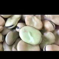 باقالی