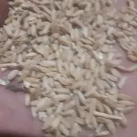 ۳تن گندم کمباین چین