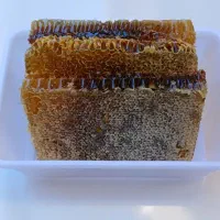 عسل کاملا طبیعی درمانی با عطر و طعم عالی تضمینی|خوردنی و آشامیدنی|تبریز, |دیوار