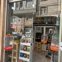 راهب عروس برزیلی کرینچیگ سخنگو رام دستی|پرنده|تهران, وحیدیه|دیوار