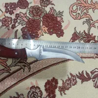 چاغو کلمپیا آمریکایی اصل فوری فوری فوری فوری