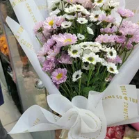 داوودی بسته ای ۱۰۰ تومن|گل و گیاه طبیعی|شیراز, خلدبرین|دیوار