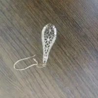 یک گوشواره گم شده