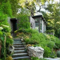 فروش زمین مسکونی در فسا