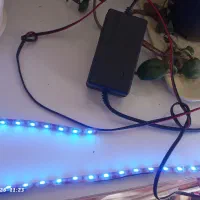 چراغ ال ای دی|ریسه و چراغ تزئینی|چناران, |دیوار