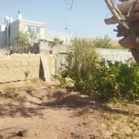 فروش زمین جهت ویلا سازی یا باغچه واقع در بنادکوک|فروش زمین و ملک کلنگی|نیر (یزد), |دیوار