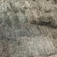 یونجه درجه یک