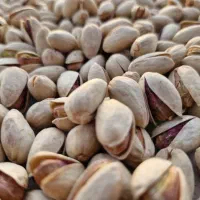 پسته درجه یک فیض آباد خراسان کیفیت بالا