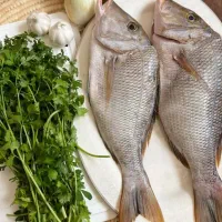 فروش انواع ماهی و میگو عمده و جزئی|عمده‌فروشی|سیاخ دارنگون, |دیوار