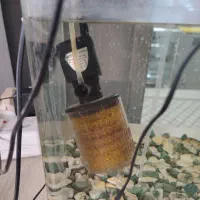 آکواریوم شیشه خم مفت|ماهی|تهران, افسریه شمالی|دیوار