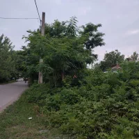 زمین ۱۶۰۰۰ بر آسفالت