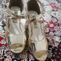 کفش مجلسی|کیف، کفش، کمربند|مشهد, مصلی (کارمندان اول)|دیوار