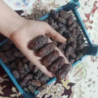 خرمای پیارم ۱۴۰۵