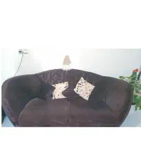 مبلمان ۱۰نفره و جلومبلی و عسلی