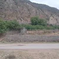 باغ گیلاس ۲۵۰۰