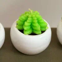 شمع کاکتوسی|صنایع دستی و سایر لوازم تزئینی|تهران, دولاب|دیوار