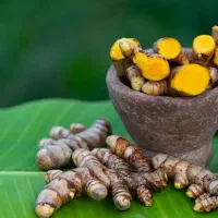 فروش ویژه روغن خالص زردچوبه تولید داخل|آرایشی، بهداشتی، درمانی|تهران, شهرک علم و فناوری|دیوار