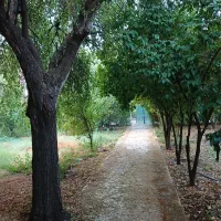 رهن آپارتمان کوی نیرو آرش ۲