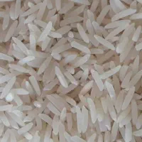 برنج فجر سوزنی شمال