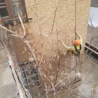 نماشویی کفسابی پیچ رولپلاک نماباطناب سابزن سنگ ساب|خدمات نظافت|تهران, تهرانپارس شرقی|دیوار