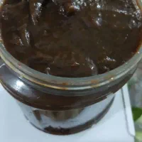 رب آلوچه خونگی  شمال